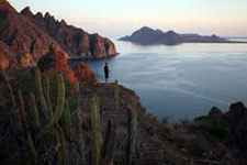 Mexico-Baja-Sea of Cortez Islands & Whale Watching